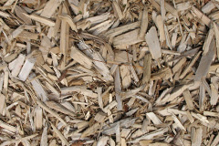 biomass boilers Dawesgreen